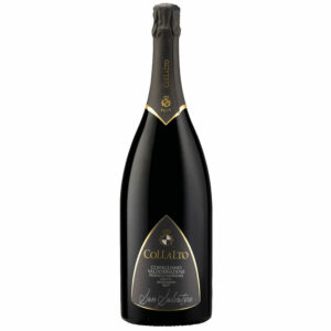 Putojantis vynas COLLALTO San Salvatore Magnum
