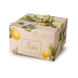 Panettone-su-citrina-600g