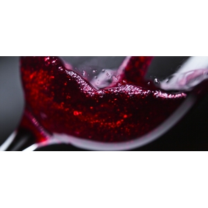 Degustacija Tempranillo – kilnioji Ispanijos vynuogė