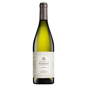 Baltas vynas Salentein Numina Chardonnay iš Argentinos