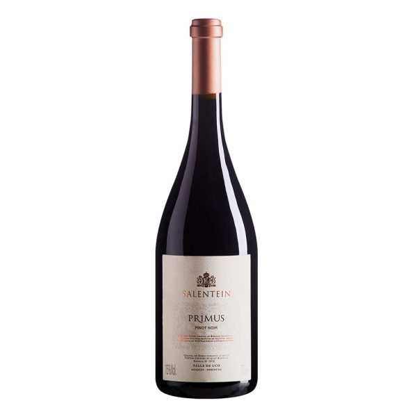 Salentein primus Pinot Noir raudonas vynas iš Argentinos
